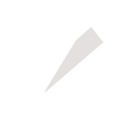 烟台临时保镖服务